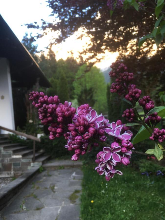 Ferienhaus Wieswald エールヴァルト エクステリア 写真
