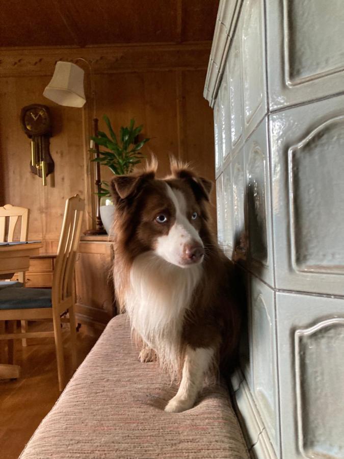 Ferienhaus Wieswald エールヴァルト エクステリア 写真